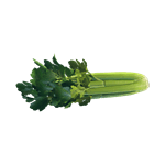 celery aid item starfield wiki guide 150px