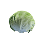 lettuce aid item starfield wiki guide 150px