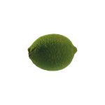 lime aid item starfield wiki guide 150px