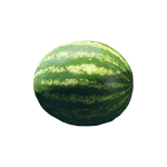 watermelon aid item starfield wiki guide 150px